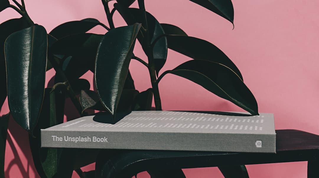 The Launch Playbook Independent Authors Use to Break Through the Noise