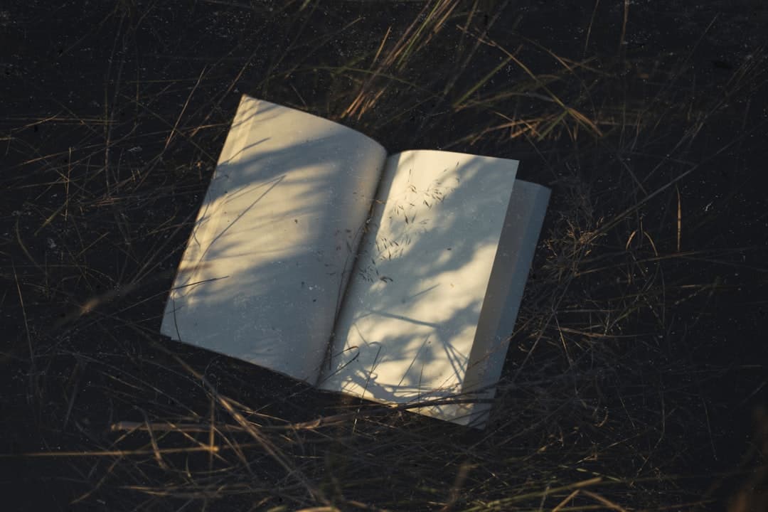 The E-Book Landscape in 2026: What Writers and Publishers Need to Know