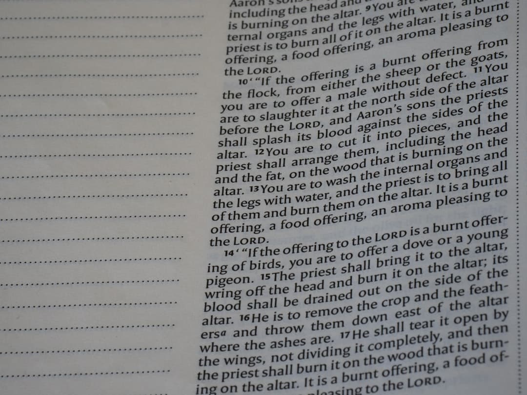 The Architecture of the Page: How Structure Shapes Every Piece of Writing